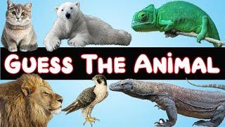 Guess The Animal In 3 Seconds | Easy, Medium, Hard, Impossible