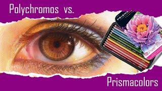 POLYCHROMOS vs PRISMACOLOR Premier Colored Pencils Review 2024