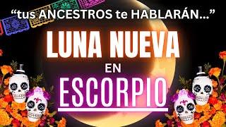 ️PODEROSA LUNA NUEVA EN ESCORPIO - 1 DE NOVIEMBRE Serás VISITADO por TUS ANCESTROS