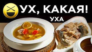 Уха и Русский самовар | Сталик Ханкишиев