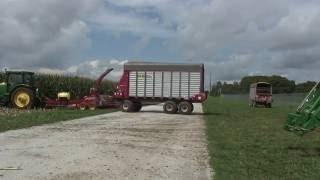 Fungicides Applications Improve Corn Silage Feed Efficiency