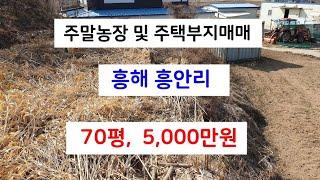 295  흥안리 주말농장매매 대가 조금 높아 멀리 보이는 위치 흥해주택부지매매 흥안리 주택부지매매 포항주말농장매매 포항주택부지매매 포항부동산 흥해부동산 지목부동산