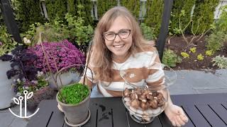 Planting Paperwhites TWO Different Ways