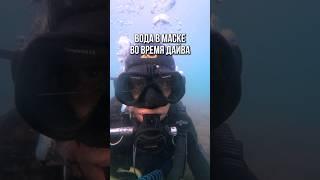 Прочистка маски во время погружения  Телега: @aksenovscubadiving #aksenovscubadiving #дайвинг