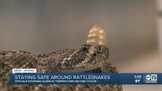 Officials sounding alarm for rattlesnake safety as temperatures cool