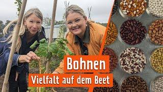 Bohnen: 8000 alte Sorten | MDR Garten