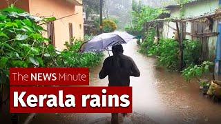 Kerala rains: Red alert in 10 districts, 12 people killed