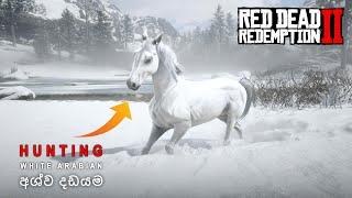 සුදු අශ්ව දඩයම (White Arabian hunt) | Red Dead Redemption 2 - #TheNexus
