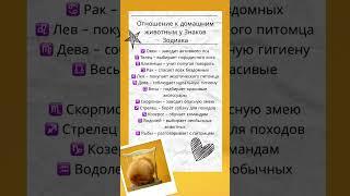 Отношение к домашним животным у знаков #таро #психология #знакизодиака #животные #питомцы #pets