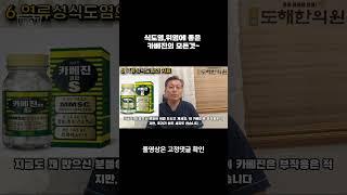 식도염, 위염에 좋은 카베진(양배추)의 모든것