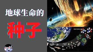 44亿年前的“大轰炸”为地球带来生命的种子？︱【猪二哥探索】