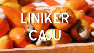 Liniker - Caju (Letra)