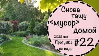 Прогулка по саду #22️Вечнозелёная аллея️Новые планы️Невероятная обновка️Обзор частного сада️