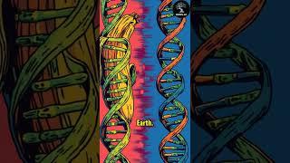 Did You Know: Bananas Share DNA with Humans?