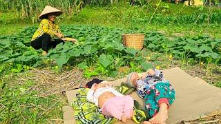 Single mother - With her children harvest melons Garden 40°c weather to sell, preserve Bananas