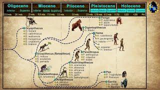 El Proceso de Hominización