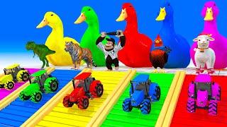 5 Giant Duck, Monkey, Piglet, chicken, bear, dinosaur, Sheep, Transfiguration funny animal 2023