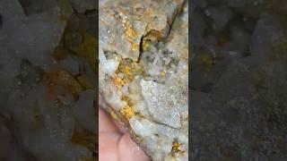 Native gold and quartz crystal specimens from BC Canada. #prospecting #gold #minerals #mining