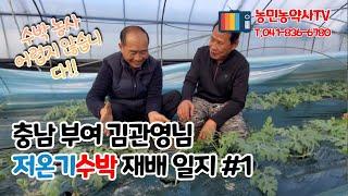 [농민농약사TV] 충남 부여 김관영님 저온기 수박재배 일지 #1