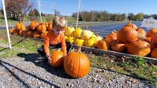 Greg & Clark's Pumpkin Carving Adventure