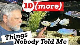 10 Things Nobody Told *YOU* about Keeping Fish!