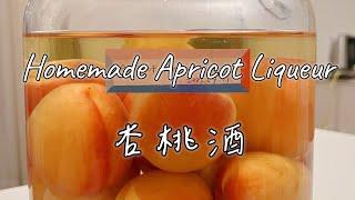 Homemade apricot liqueur | 杏桃酒