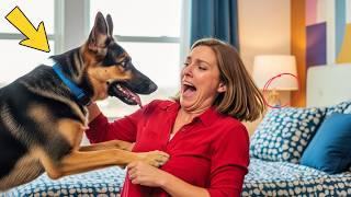 Dog Didn’t Leave A Woman Alone — When Her Husband Found Out The Truth, He Called The Police! | story