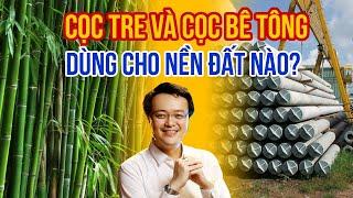 Cọc Tre và Cọc Bê Tông dùng cho nền đất nào? Lưu ý khi làm Móng Nhà trên các nền đất | pttn