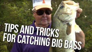 Bill's Tips and Tricks for Catching Big Bass