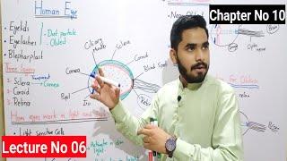 Human Eye Class 8 In Urdu Hindi By Haider.Ali || Lense Class 8 || Lecture No 06 || Chapter No 10