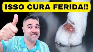 Isso CICATRIZA qualquer FERIDA!!! | Cães e gatos