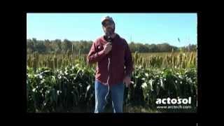 Introducing actosol®, an Organic Biostimulant plus Fertilizer