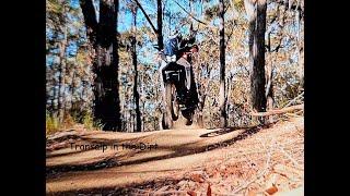 Honda Transalp 2023 XL750 Proper Dirt In Australia stay to the end for a crash