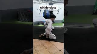 Jaja Aikido class session