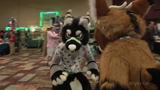 Telephone & Tayerr Play -RAW- BLFC 2017