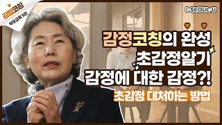 최성애 감정코칭 아이를 올바르게 사랑하는 부모가 되는 감정코칭의 완성!