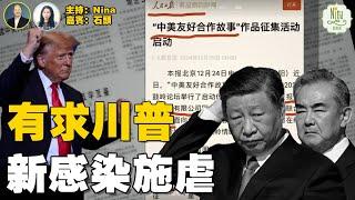 【精彩138】石頭：新病毒肆虐中國 疫情恐再起｜ 知情人爆張又俠正清理軍中習派 北京對美吹和風 習擬訪俄｜海湖莊園成「宇宙中心」比爾蓋茨求見｜ 川普上場 20萬中國留學生感不安【Nina面對面】