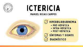 ICTERICIA: Mecanismos de hiperbilirrubinemia (fisiopatología), Síntomas y Diagnóstico | Semiología