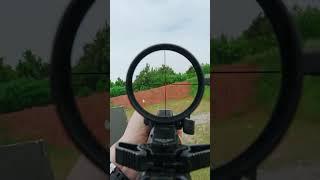 POV - Primary Arms 1-6 Nova LPVO #shorts