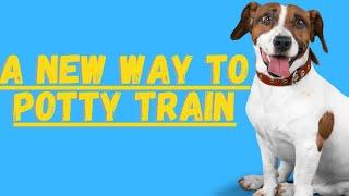 Potty Training a Jack Russell Terrier (A New Technique)