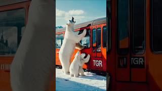 how beautifully a Bear  saved a train #youtubeshorts #ytshorts #animals