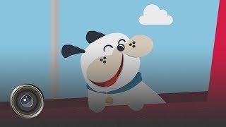 SnapShot Interactive | Direct General "Pleasant Surprises: Wind In Your Jowls"