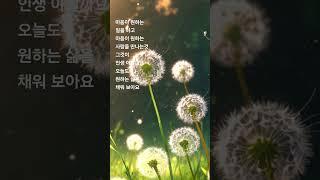 세상에 와서 얻은 모든 것은 덤 입니다 #고백운 #음악 #이별 #사주 #감성 #운명이야기 #연애 #노래 #사주명리학강의 #구성학강의