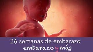 26 semanas de embarazo - Sexto mes - EMBARAZOYMAS