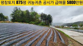 현장매물 브리핑 | 0509-평창토지 | 급매 5800만원 |올관리 농지 875평 포장도 야산접 구거접 공시지가 매물 (방림부동산 010-3733-2002)