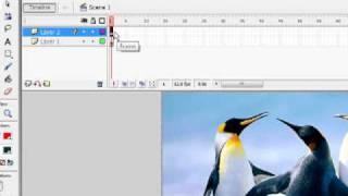 Transistion Effect in Flash.mp4