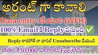 Work From Home | Data Entry Job | 100% Email వస్తుంది | Free Job | Job search