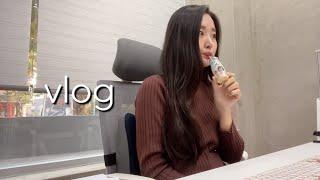 Vlog 직장인 임산부 브이로그｜임신 16주차 꼭 필요한 것! 내돈내산 언박싱 오랜만에 외출한 임산부 일상