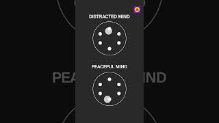 Calm Your Distracted Mind!
