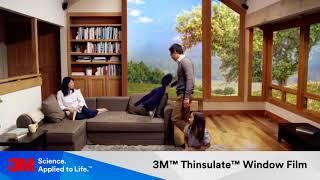 3M™ Thinsulate™ Window Film